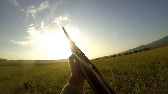 mwyerze nadiroba/quail hunting/ მწყერზე ნადირობა смотреть онлайн