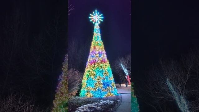 Garden of Lights: Alice in Tara Minunilor смотреть онлайн