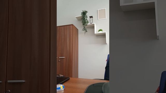 фирма по банкротству-центральный район Волгоград 11: 03-24. смотреть онлайн