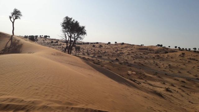 Экскурсия-сафари "Красные пески" в Аджмане. Зачем нужен привал перед гонками на джипах. Эмираты смотреть онлайн