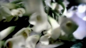 Britney Spears - Live From Miami (The Onyx Hotel Tour Showtime Commercial - Version 2) [AI UHD 4K]