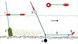 "Донка с Поплавком" что за снасть такая и почему считается самой уловистой?