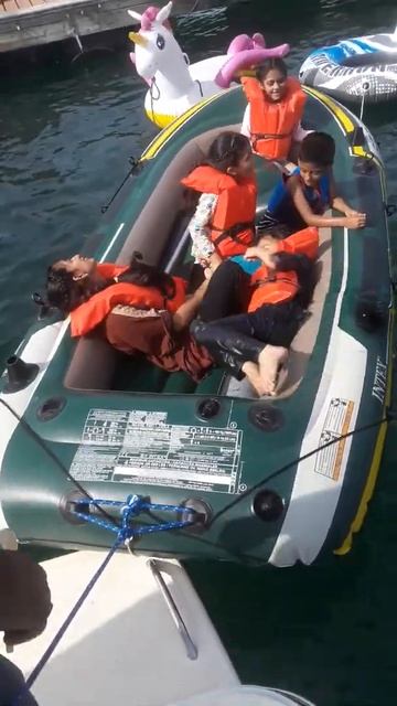 7 tigers and alligator attack 🚤 by #desimominchicago 😂 смотреть онлайн