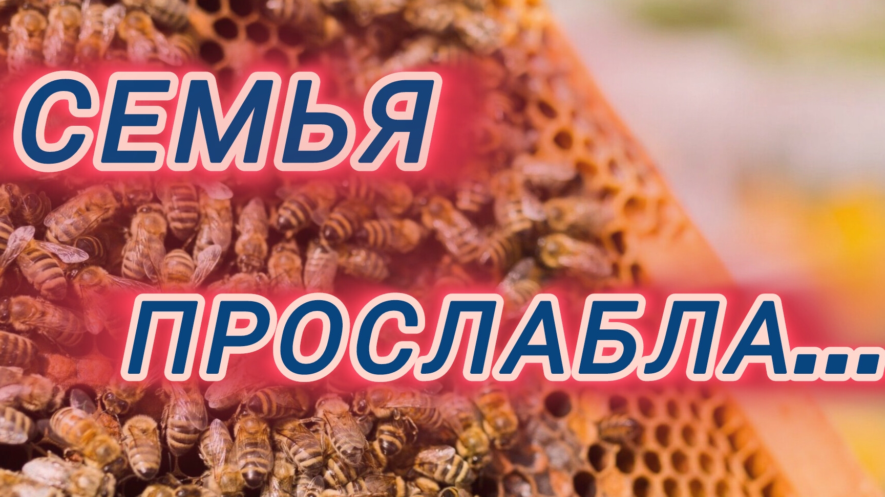 Когда семья прослабла.Что делать? смотреть онлайн