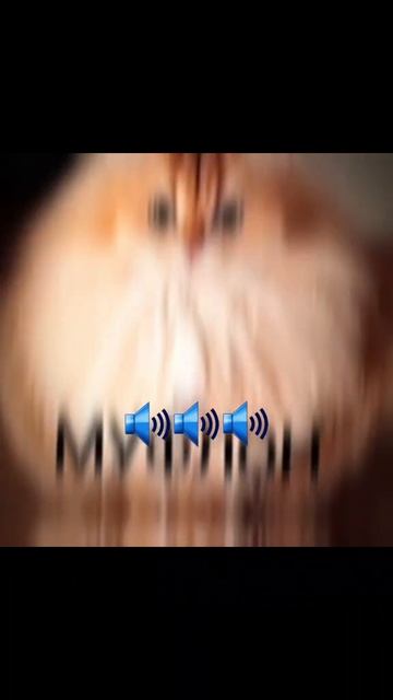 #муфлон #кот смотреть онлайн