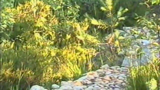 0107 Topplan Участка (Июнь 2002) смотреть онлайн