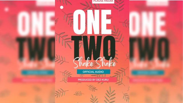 ONE TWO SHAKE SHAKE (OFFICIAL AUDIO) - Prod By Dez Kuru