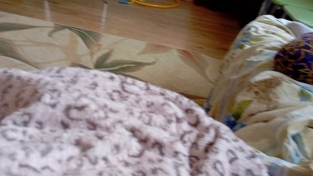 1000012556.mp4 смотреть онлайн