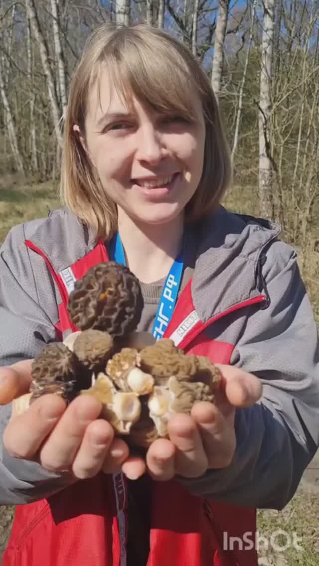 прошел все грибы 🥺 СМОРЧКИ ПОПЁРЛИ ‼️ тихая охота 2025. ШОК 🔥 смотреть онлайн