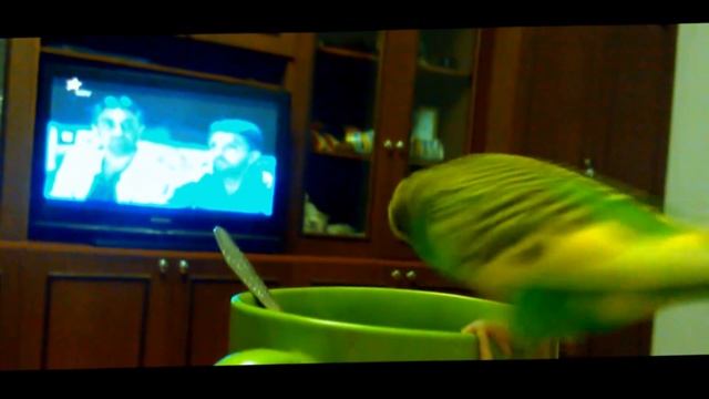 Филя пытается говорить смотреть онлайн