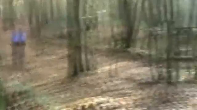 vtt montagne de reims 2.wmv смотреть онлайн