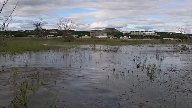 Карп нерест. смотреть онлайн