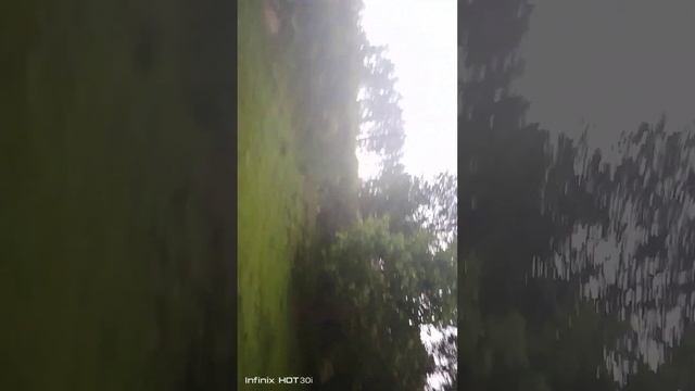 Смоленск ,ураган ,