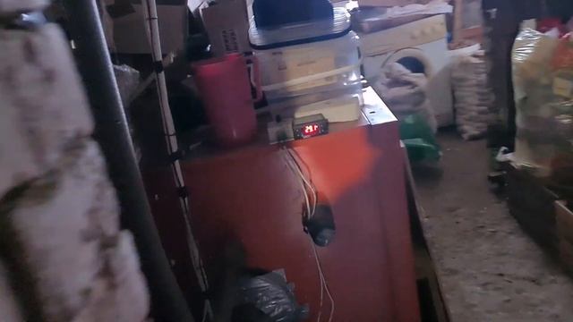 Magazyn Energii. Auto Elektryczne. Rurowe Kolektory Słoneczne. Pompy Ciepła. Fotowoltaika. смотреть онлайн