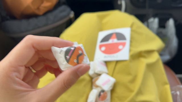 【岡山県/車中泊旅】車中泊暮らしの岡山旅。日本一のあの場所へ。 смотреть онлайн