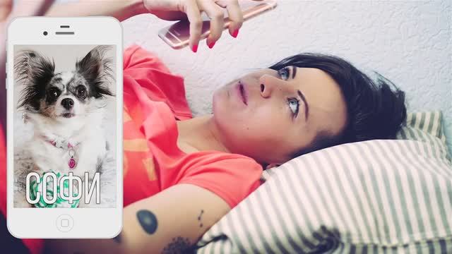 Умные собаки дают советы — теперь Миша как голосовой помощник! 🎙️🐾 смотреть онлайн