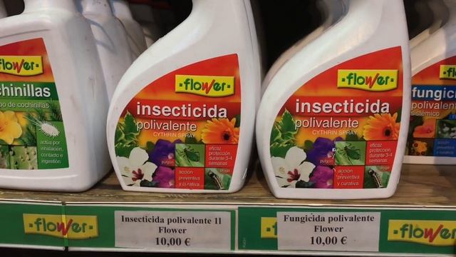 A Pleasant Surprise at my Local Garden Center... смотреть онлайн