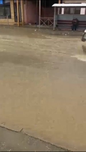 Ленинкент сегодня