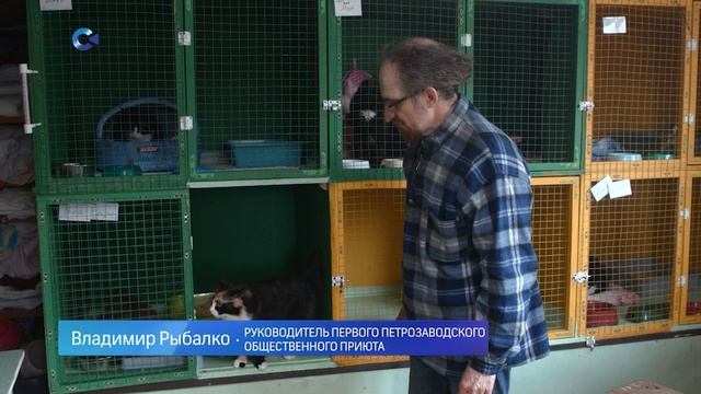 «В добрые руки» | 25.05.2024 смотреть онлайн
