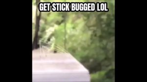 1 man 1 jar original