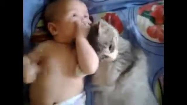 Потрясающе! Просто класс! Кошачьи нежности к ребенку!!! смотреть онлайн