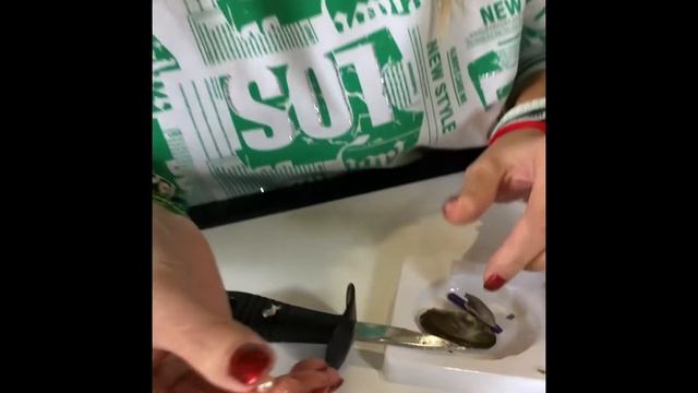 Вековой восток подарочная жемчужина смотреть онлайн