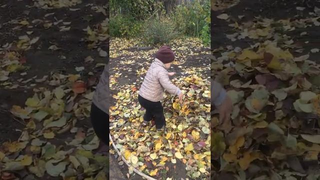 Уборка листвы