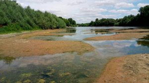 Река Днестр мелеет на глазах в Молдове. Синоптики объявили гидрологическую засуху