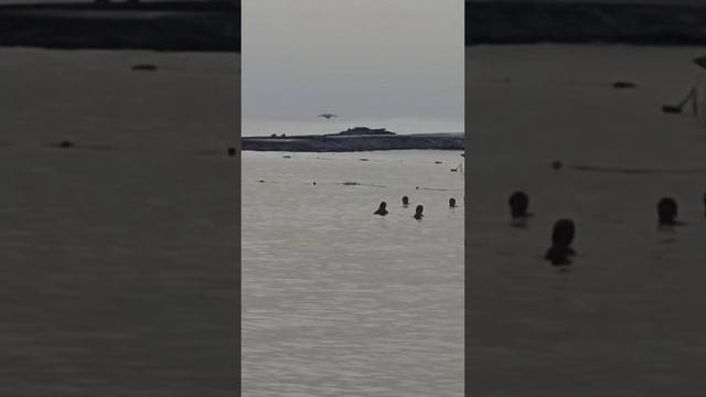 Пожарный самолет приводнился в Средиземном море возле Аланьи