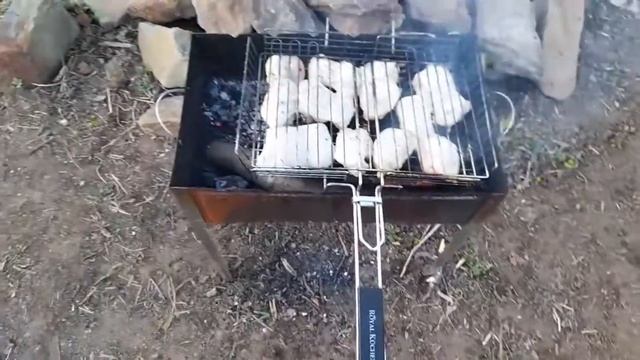 шашлык из бедра куры