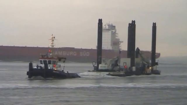 Sea Beluga 16 06 2016 смотреть онлайн