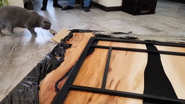 Кошечка Буся. Наблюдает правильно ли складывают мебель. смотреть онлайн