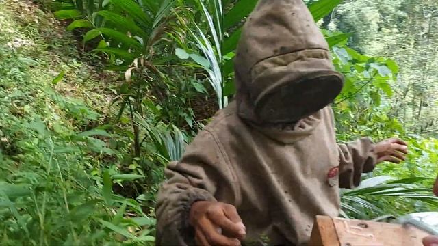 lebah madu di rak besi banyak manfaat salah 1 nya biar terhindar dri serangan beruang смотреть онлайн