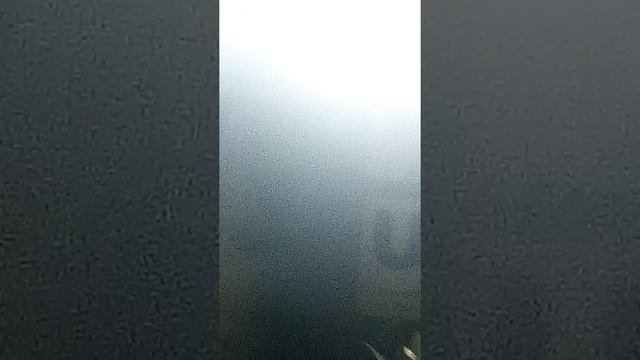 Мой тик ток:💔ма💔 подписывает смотреть онлайн