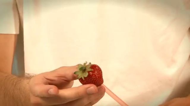 Frutilla - Knorr 2011