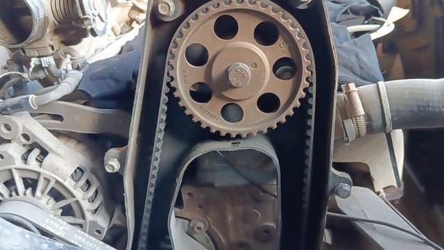 Video_2025-04-15_18-12-35