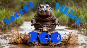 Детский квадроцикл - Yacota Viking 200 кубов (Якота Викинг 200), обзор после покупки