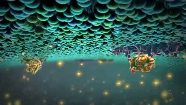 Mitocondria смотреть онлайн