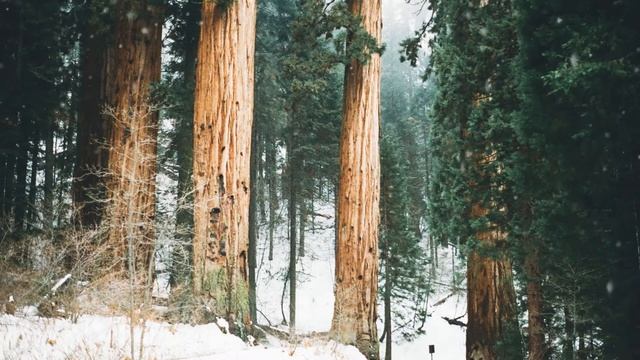 Koshi Wind Chimes| Yoni Yoga MEDITATION MUSIC | WIllowwacks смотреть онлайн