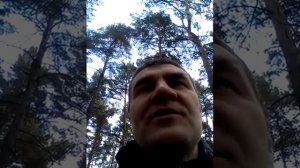 В каком направлении развивать бизнес в деревообработке
