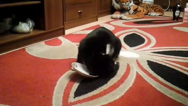 Мурзик и валерьянка ! Новый год. смотреть онлайн