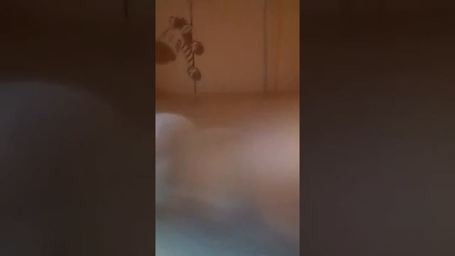 Как сделать шпору в ручке