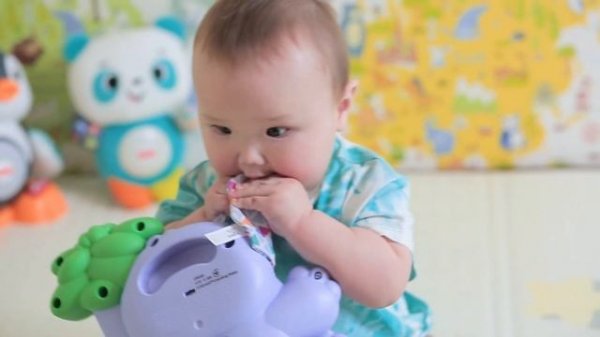 LINKIMALS КОАЛО, Игрушка Линкималс Коало / LEONARDO BOY