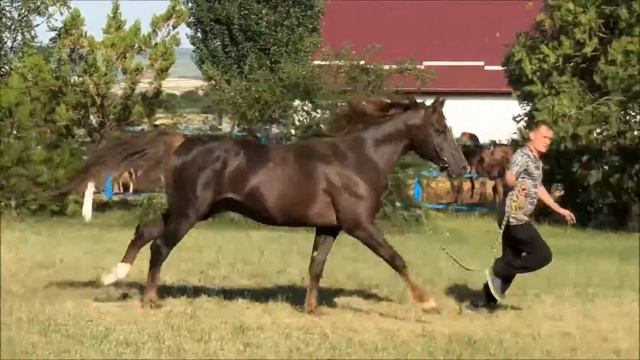 матвей смотреть онлайн