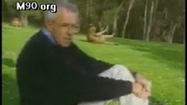 смотреть на кенгуру смотреть онлайн