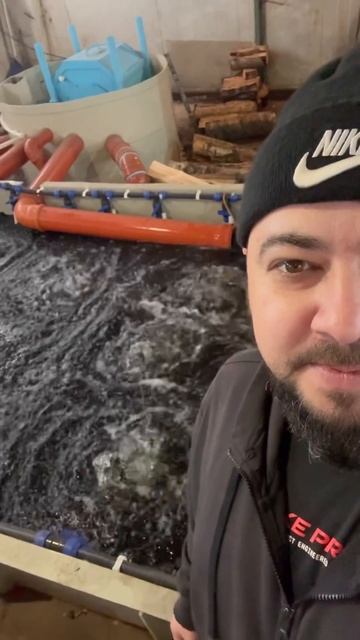 Биофильтр для наших осетровых #осетроваяферма #белугафиш #fish смотреть онлайн