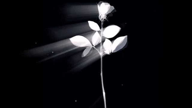 1000094676.mp4 смотреть онлайн