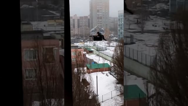 Синица-лазоревка смотреть онлайн