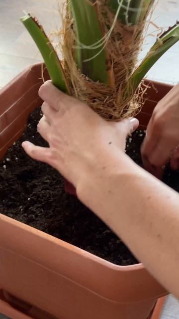 «😱 она лежала на обочине дороги, и не подавала признаков жизни»