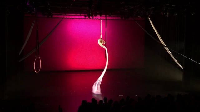 Lynae - La Vie En Rose aerial silk performance смотреть онлайн